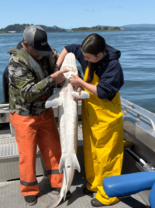 Sturgeon Fishing