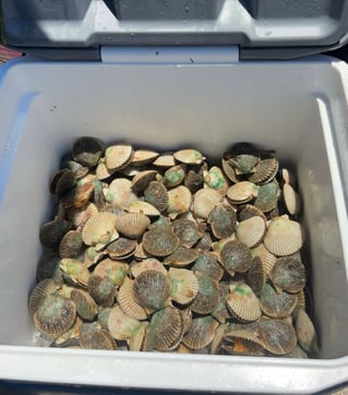 1/2 Day Private Scalloping Charter