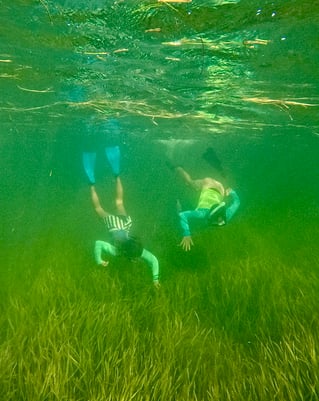 1/2 Day Private Scalloping Charter