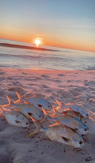 2 Hour Surf Fishing Trip