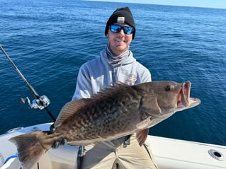 4-8 Hour Trip (Offshore)