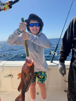 4-8 Hour Trip (Offshore)