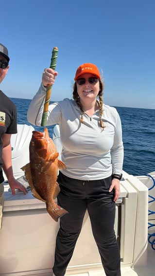 4-8 Hour Trip (Offshore)