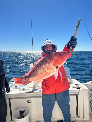 4-8 Hour Trip (Offshore)