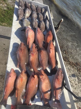 2-5 Hour Fishing Trip