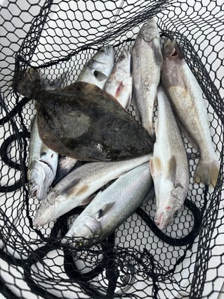 Steinhatchee Florida Fishing