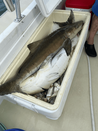 Full day Fishing Trip - 40’ Evans