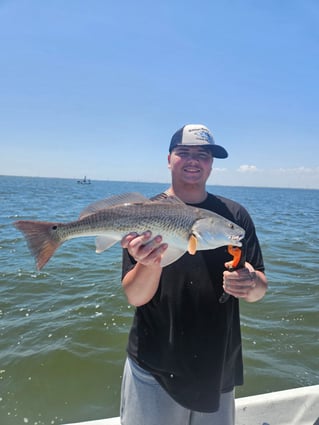 4-8 Hour Inshore Trip
