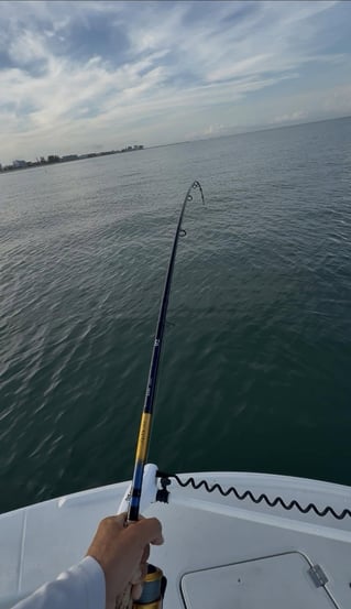 Dawn Patrol