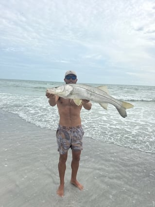 Sunrise Gulf Tarpon Fishing