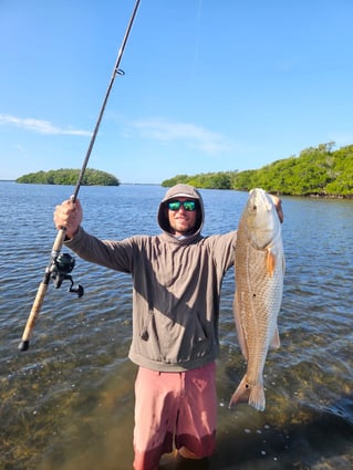 Sunrise Gulf Tarpon Fishing