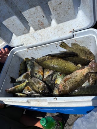 Panfish Trips