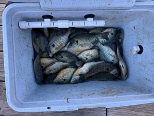 Panfish Trips
