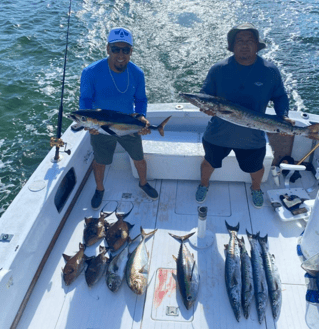4-8 Hour Offshore Trip