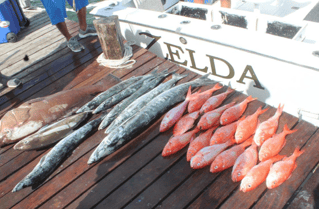 4-8 Hour Offshore Trip