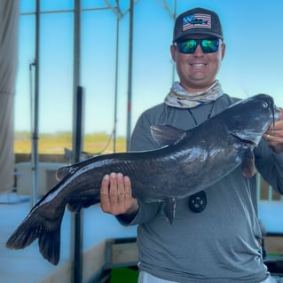AM Lake Travis Bass Fishing