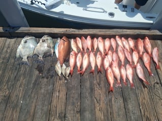 Offshore Slam