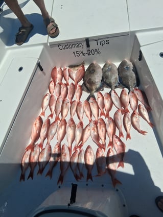 Offshore Slam