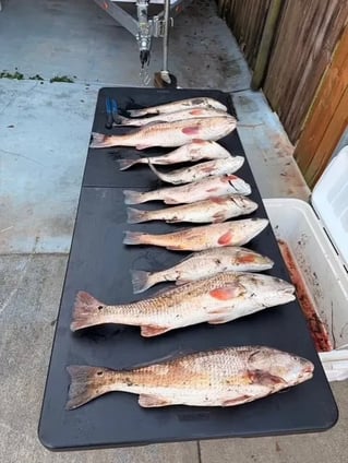     Louisiana Redfish Adventure