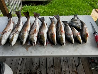 Lafitte Inshore Adventure