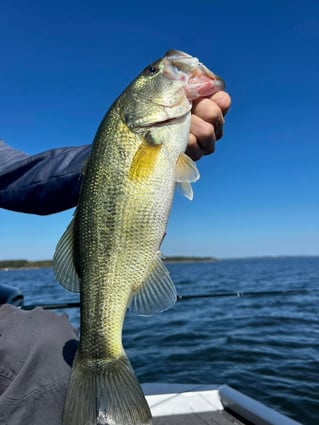 Freshwater Fishing