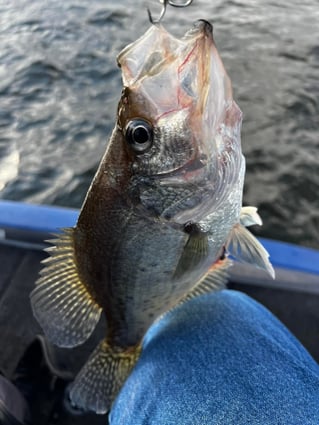 Freshwater Fishing
