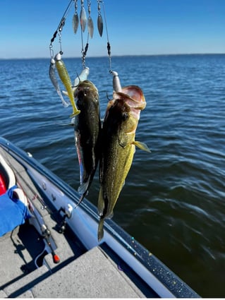 Freshwater Fishing
