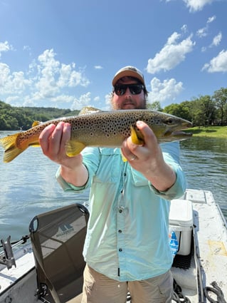  Trout Fishing Trip On White River