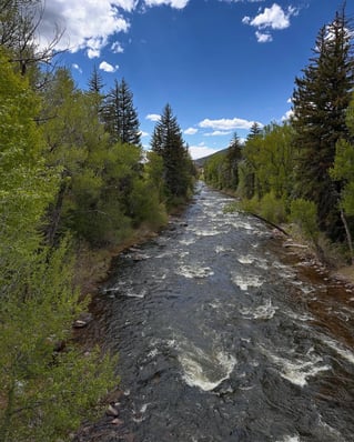 Fly Fishing Trip (Walk & Wade)