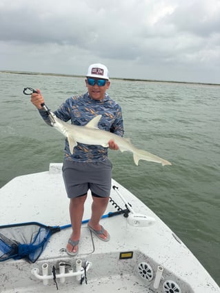 Inshore Bay Fishing 