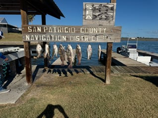 Inshore Bay Fishing 