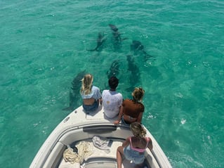 Sandbar Tour