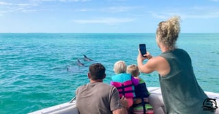 Sandbar Tour