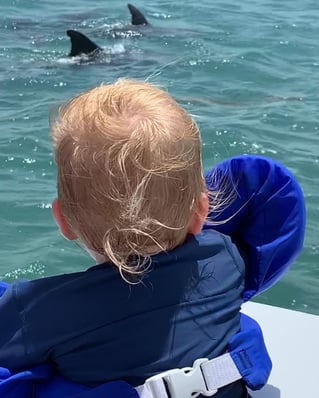 Sandbar Tour