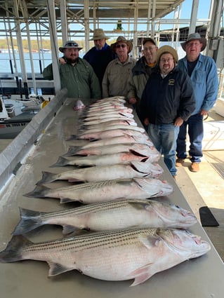 Day Trip – Striper Fish Fun