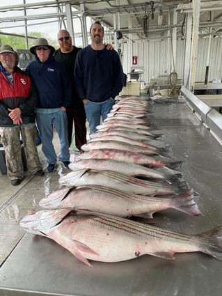 Day Trip – Striper Fish Fun