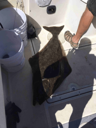 4 Days Fishing / 3 Nights Lodging