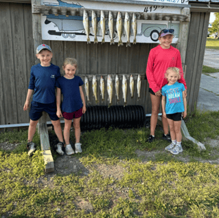 Walleye & Yellow Perch FIshing
