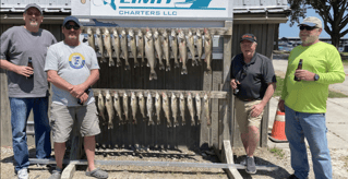 Walleye & Yellow Perch FIshing