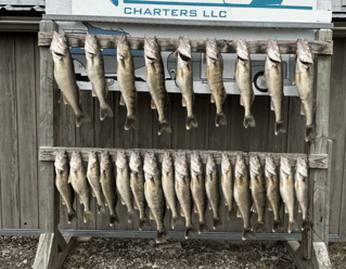 Walleye & Yellow Perch FIshing