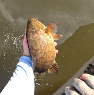 Guided Fly Fishing Trip