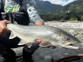 Upper Pitt River Adventures 
