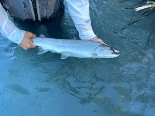 Upper Pitt River Adventures 