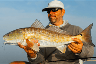 Fly Fishing The Lower Laguna Madre