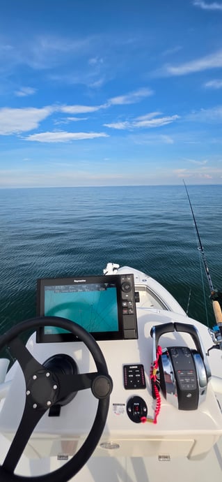 Cobia Sight Fishing 