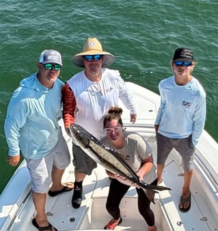 Cobia Sight Fishing 