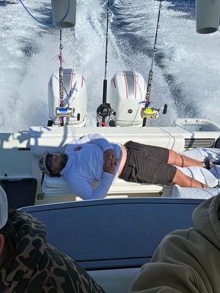 Cobia Sight Fishing 