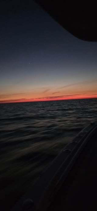 Cobia Sight Fishing 
