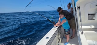 Cobia Sight Fishing 