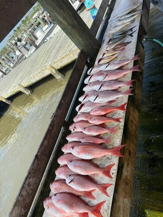 6-10 Hour Trip - OFFSHORE